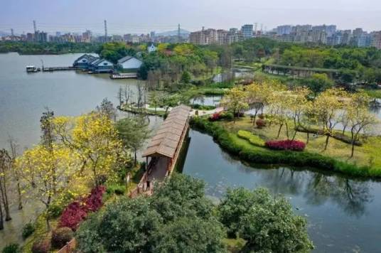 白云湖（广东省广州市白云区境内景点）