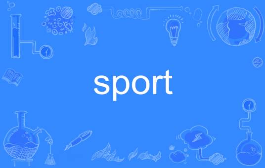 sport（英语单词）
