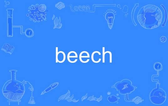 beech