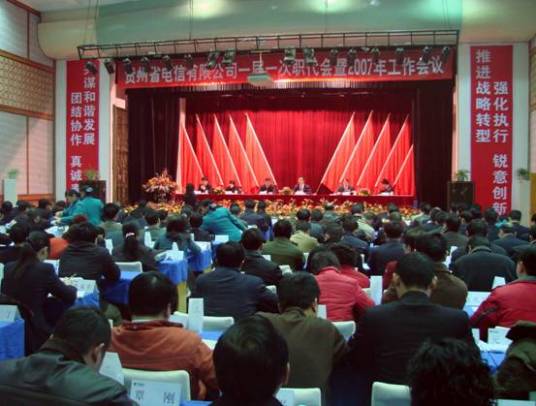 贵州省电信有限公司