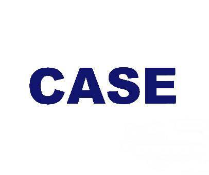CASE（英语单词）