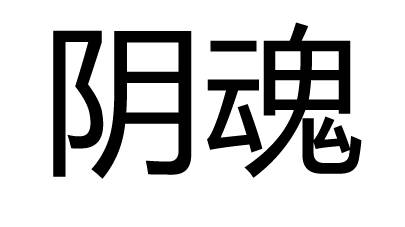 阴魂（汉语词汇）