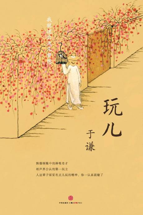 玩儿（2013年中信出版社出版的图书）