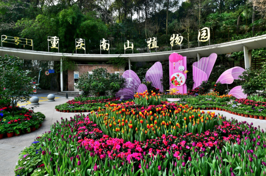 重庆南山植物园