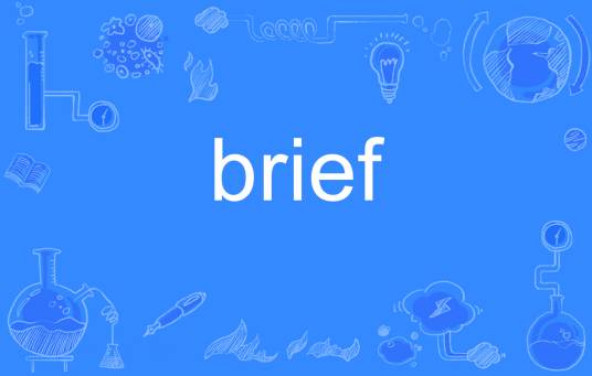 brief（英语单词）
