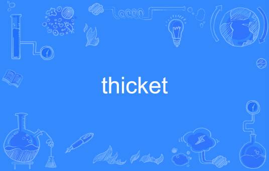 thicket（英语单词）