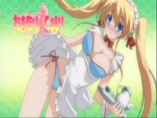 守护猫娘绯鞠（みかづき红月作轻小说）