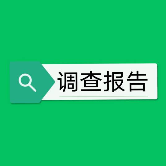 调查报告