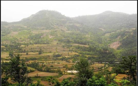 清远柏嘉观光果园