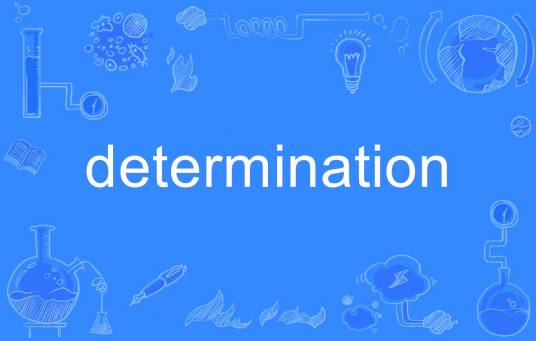 determination（英语单词）