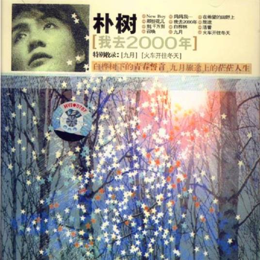 白桦林（朴树创作歌曲）