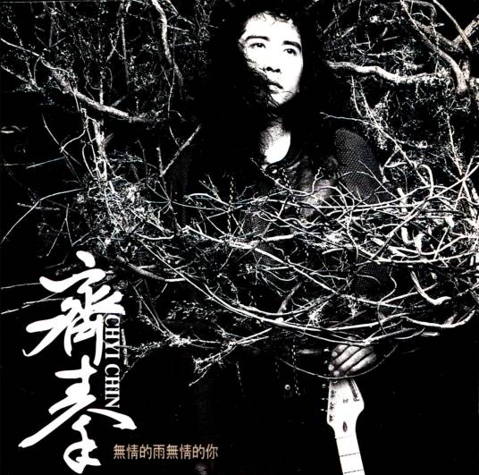 无情的雨无情的你（1994年齐秦演唱歌曲）