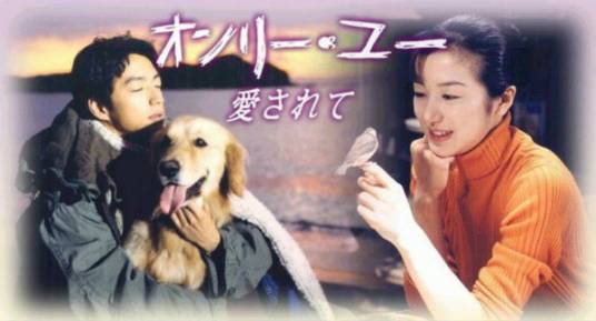 爱的真谛（1996年起国本雅広等执导日剧）