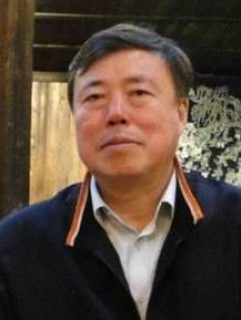 王迎军（南开大学教授）