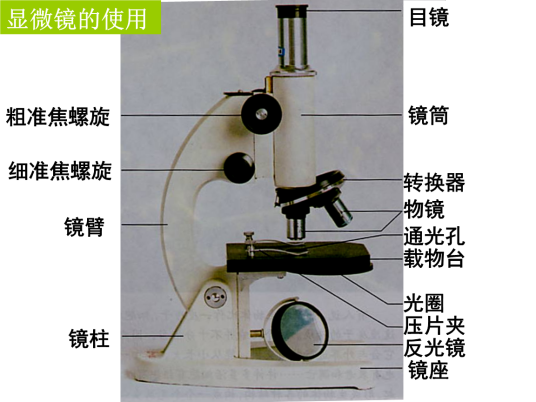 显微镜操作
