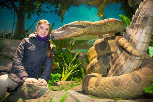 蛇王(汉字词语)