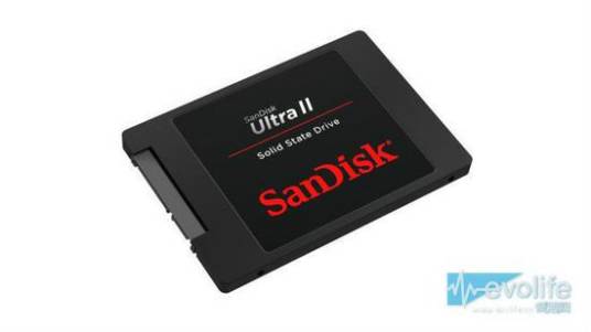 Sandisk Ultra II