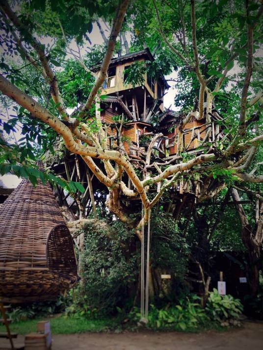 树屋（湖北神农架树屋）