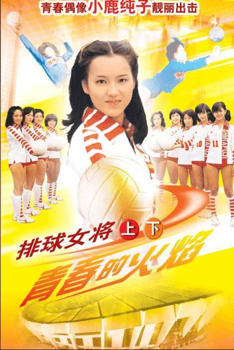 排球女将（日本1979年田中秀夫执导的运动剧）