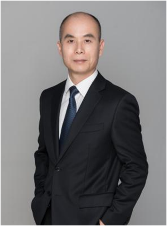 陈维崧（律师）