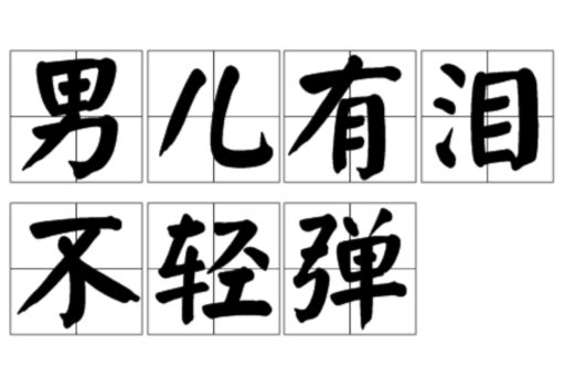 男儿有泪不轻弹（汉语词汇）