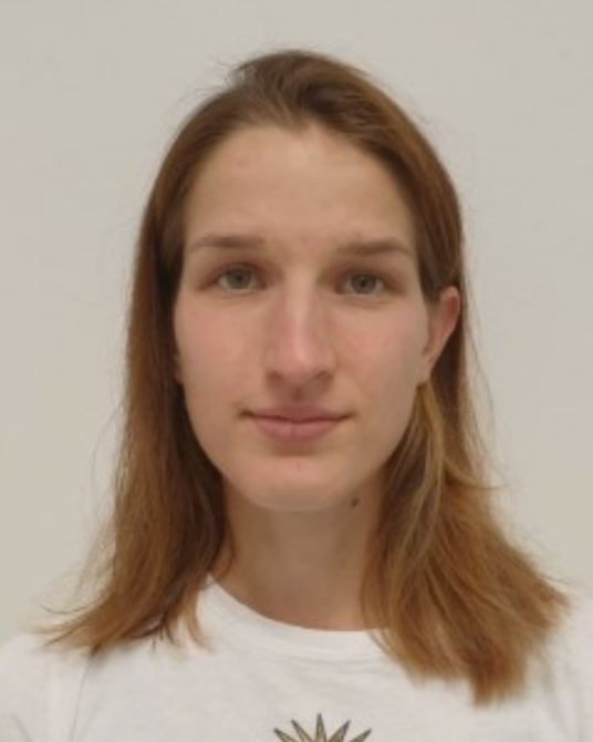 日娃·克莱门契奇