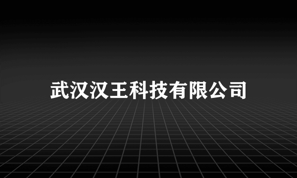 武汉汉王科技有限公司