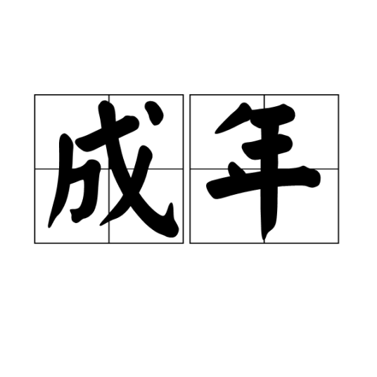 成年（汉语词汇）