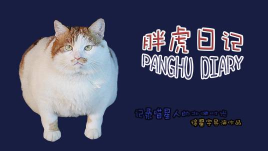 胖虎日记
