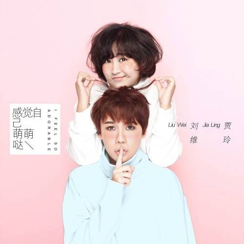 感觉自己萌萌哒（贾玲、刘维演唱歌曲）