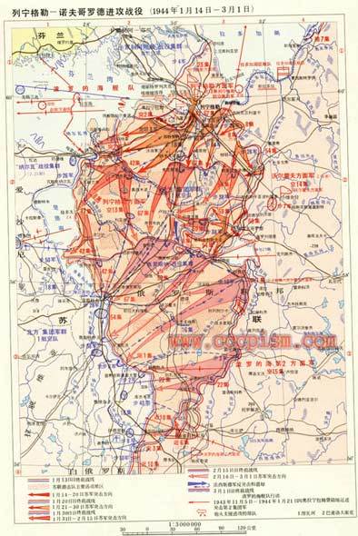 列宁格勒—诺夫哥罗德战役