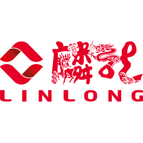 沈阳麟龙科技股份有限公司