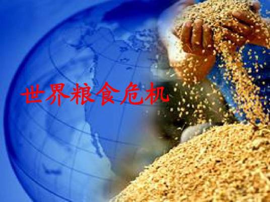 全球粮食危机