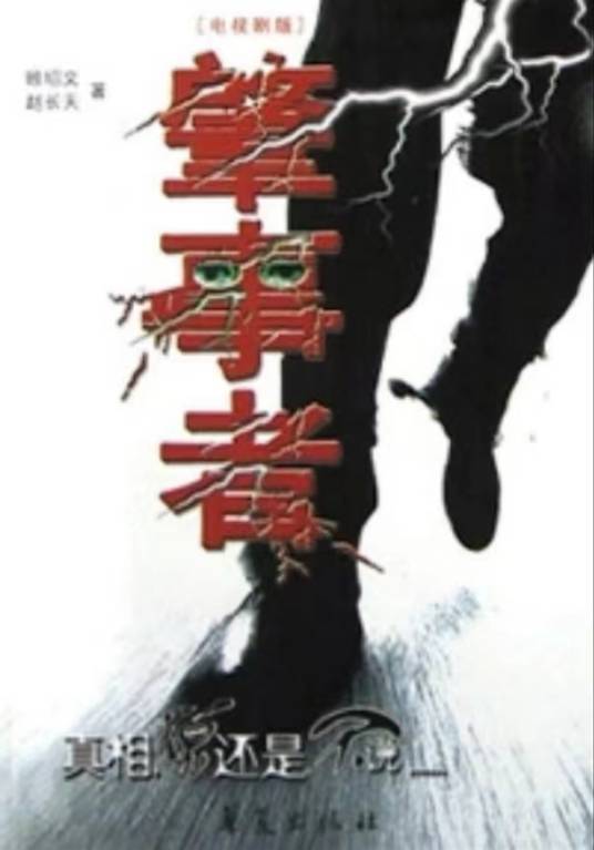 肇事者（2004年周莉、彭玉主演的电视剧）