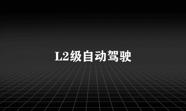 L2级自动驾驶