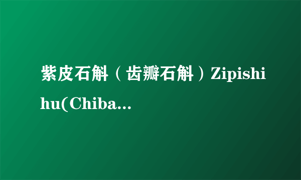 紫皮石斛（齿瓣石斛）Zipishihu(Chibanshihu)中药标准