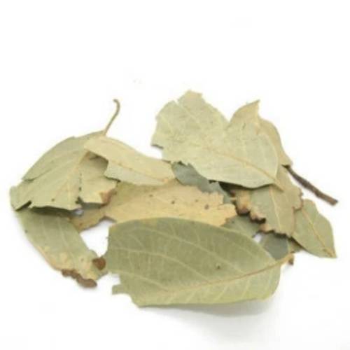 四季青（中药）