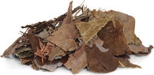 淫羊藿（生药）