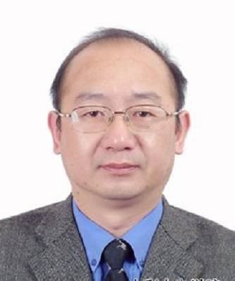 何金平（武汉大学教授）