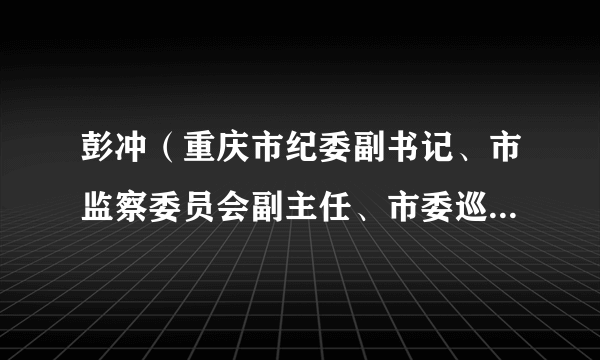 彭冲（重庆市纪委副书记、市监察委员会副主任、市委巡视办主任）