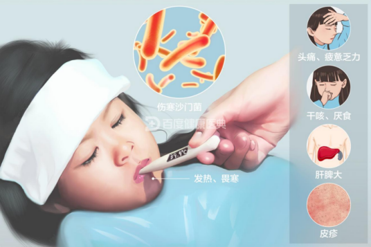 伤寒（伤寒急性传染病）