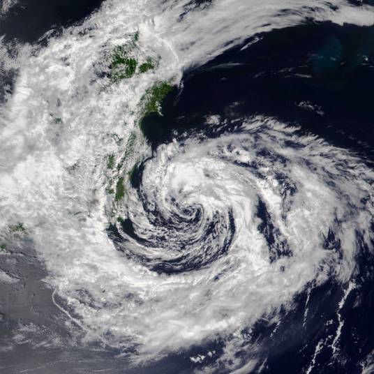 台风尼伯特（2021年第8号台风）