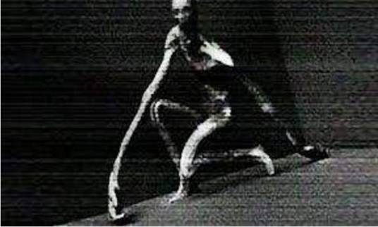 害羞的人（网络共笔怪谈体系《SCP基金会》中的超自然生物）