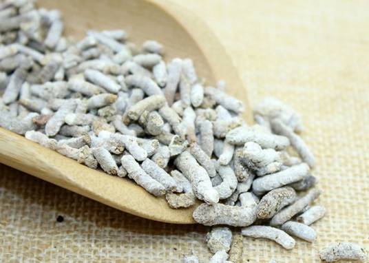 白丁香（中药）