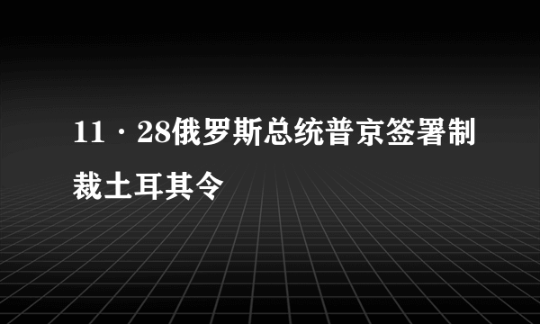11·28俄罗斯总统普京签署制裁土耳其令