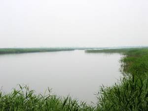 “风水宝地”七里海