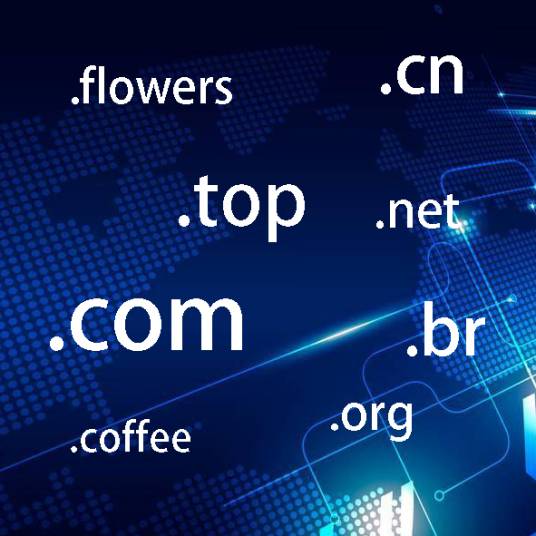 国际顶级域名