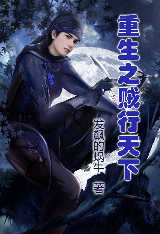 重生之贼行天下