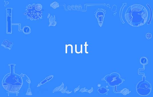 nut（英文单词）