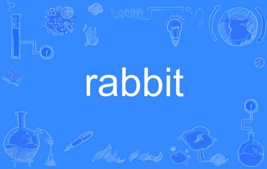rabbit（英文单词）